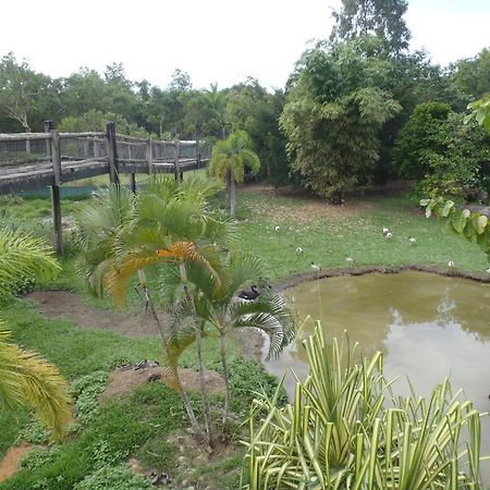 Daintree Wild Bed & Breakfast Экстерьер фото