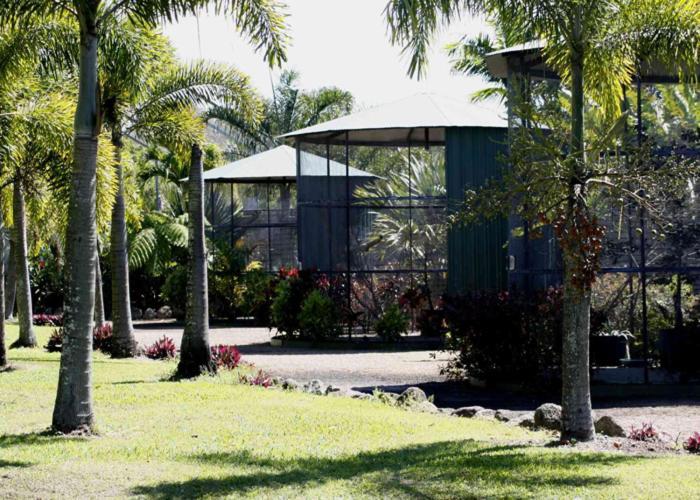 Daintree Wild Bed & Breakfast Экстерьер фото