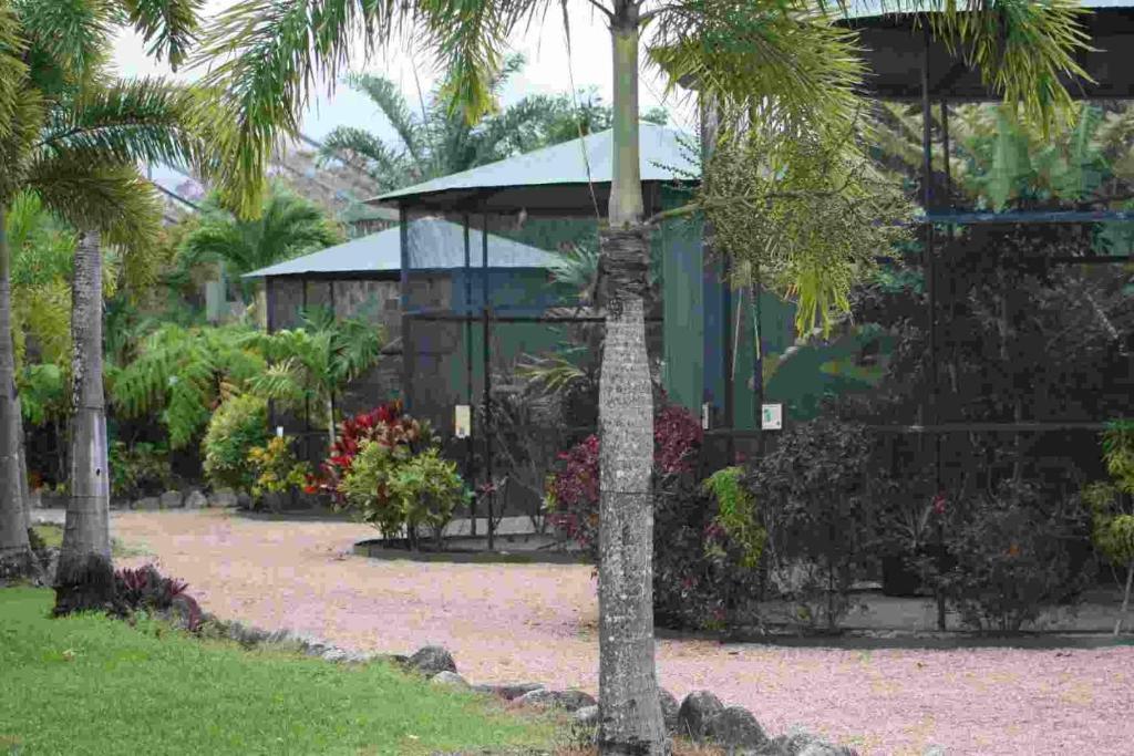Daintree Wild Bed & Breakfast Экстерьер фото