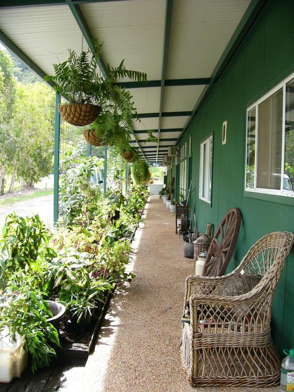Daintree Wild Bed & Breakfast Экстерьер фото