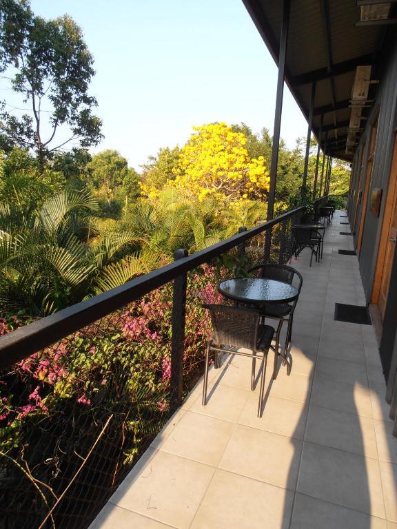 Daintree Wild Bed & Breakfast Номер фото