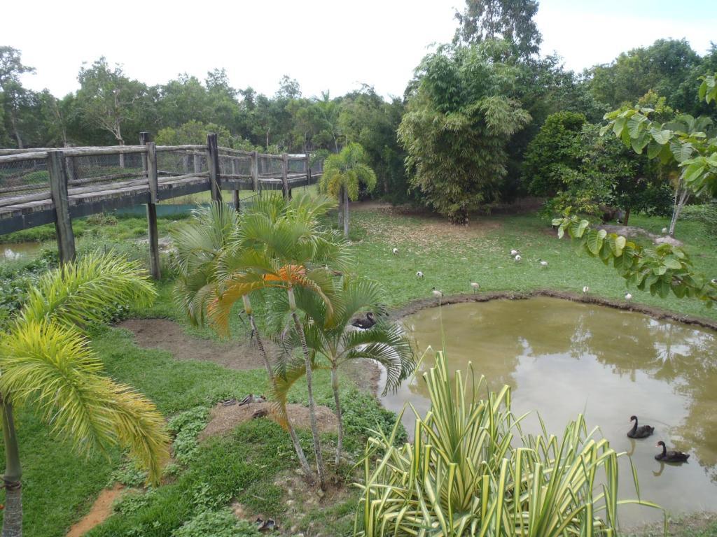Daintree Wild Bed & Breakfast Экстерьер фото