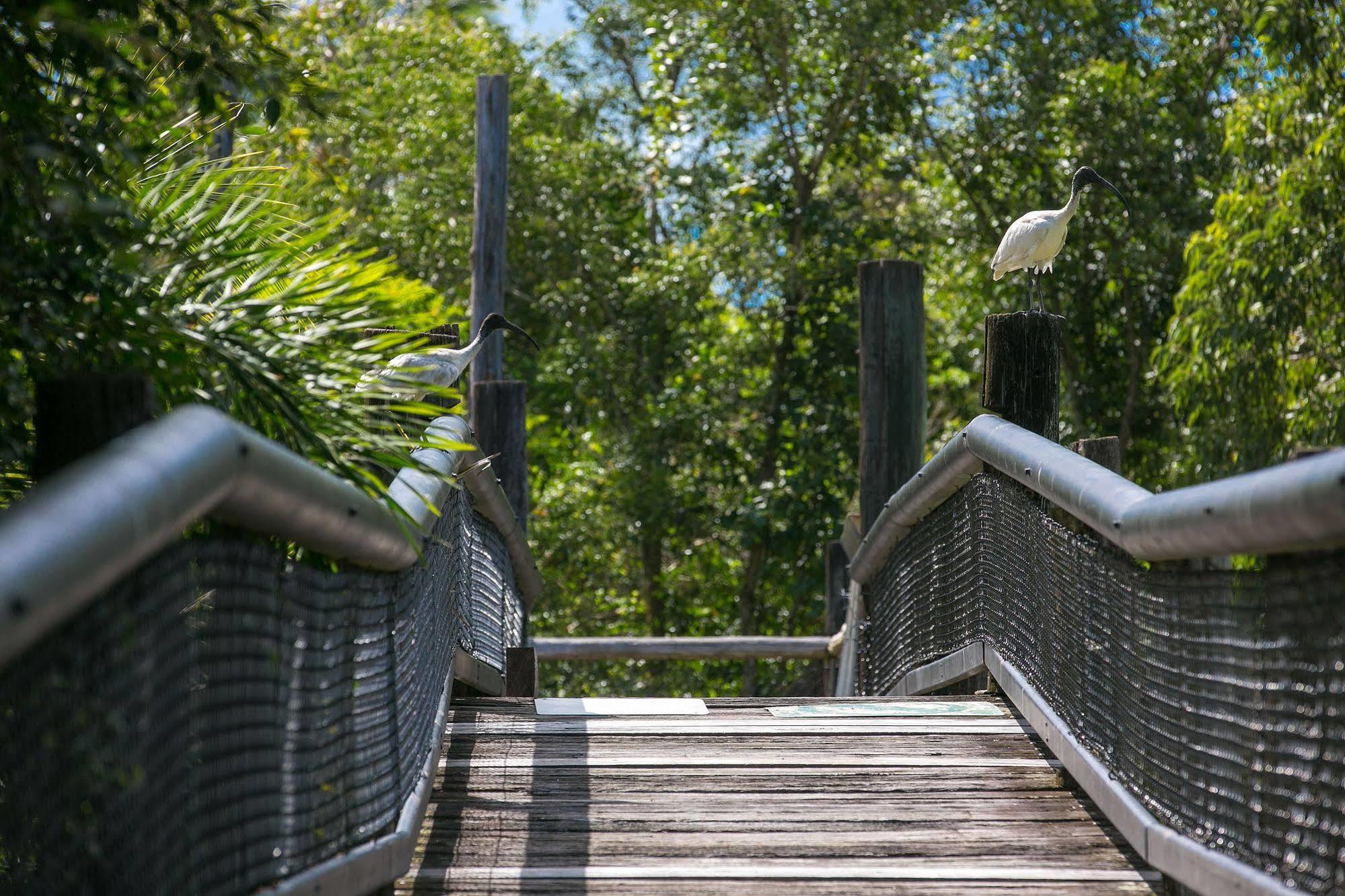 Daintree Wild Bed & Breakfast Экстерьер фото